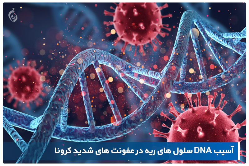  dna  و کرونا