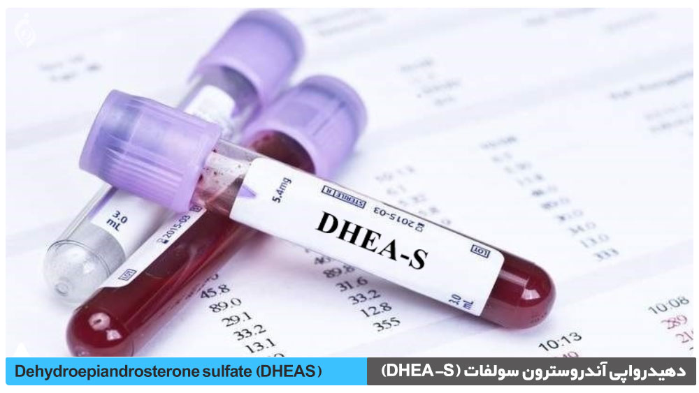 دهیدرواپی آندروسترون سولفات (DHEA-S)
