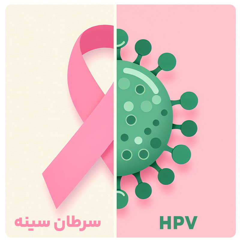 سرطان سینه و HPV